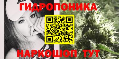jwh Пыть-Ях