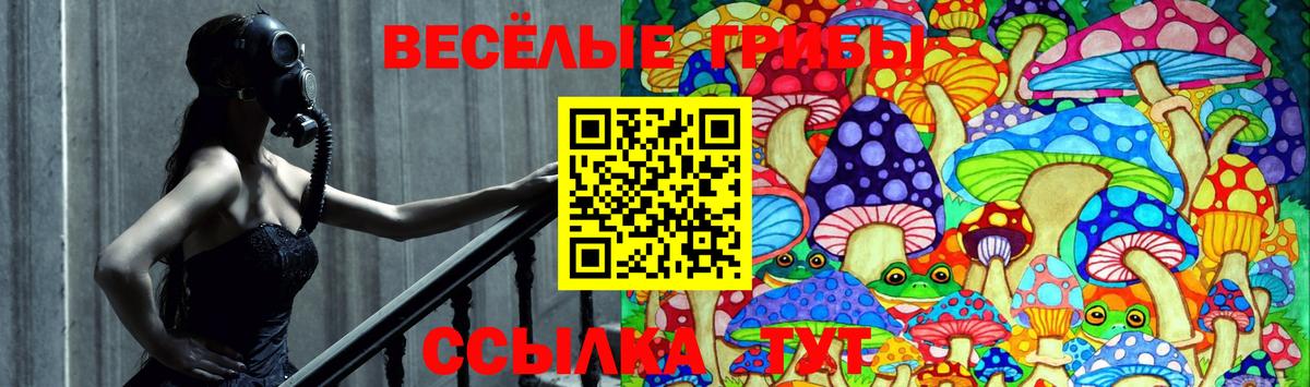 Псилоцибиновые грибы Psilocybe Ханты-Мансийск