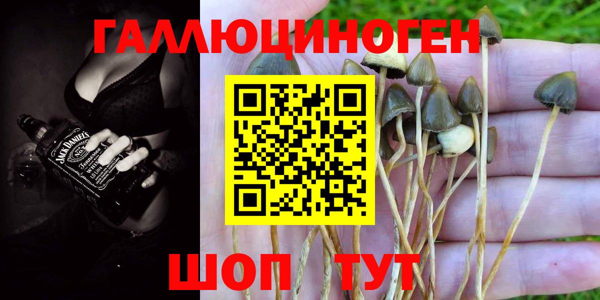 Галлюциногенные грибы прущие грибы  Вход с VPN  Ханты-Мансийск 